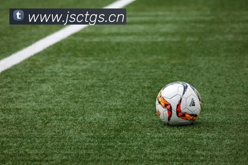 世界杯官网登录app服务体系